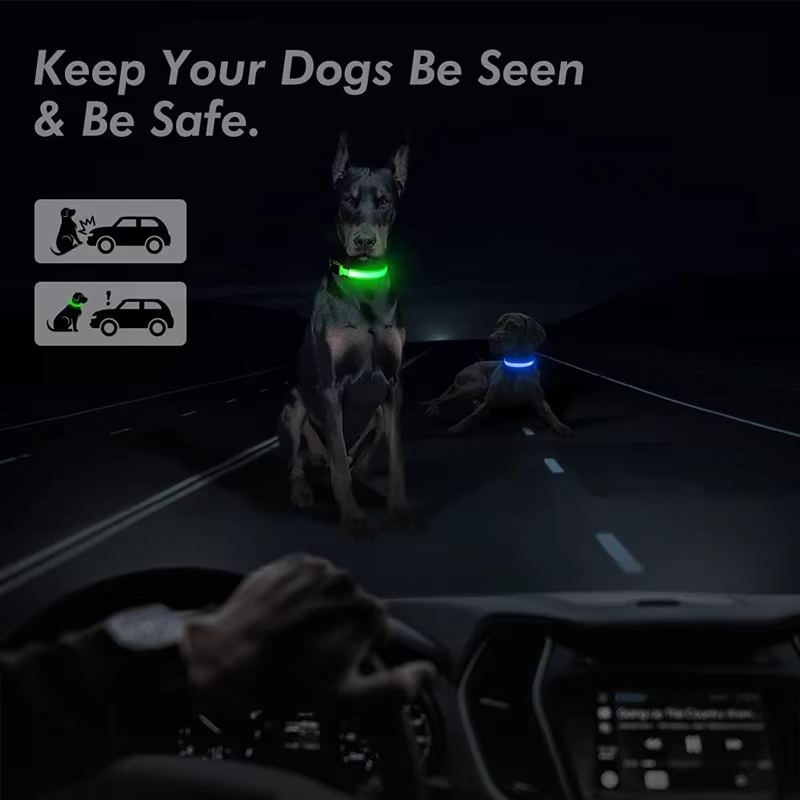 GlowDog™ – Lysende hundehalsbånd