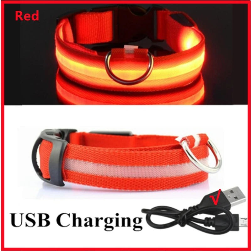 GlowDog™ – Lysande hundhalsband
