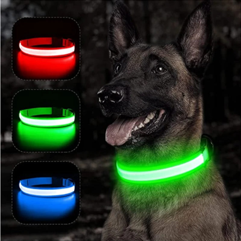 GlowDog™ – Lysende hundehalsbånd