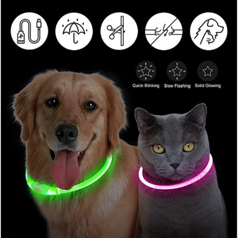 GlowDog™ – Lysende hundehalsbånd