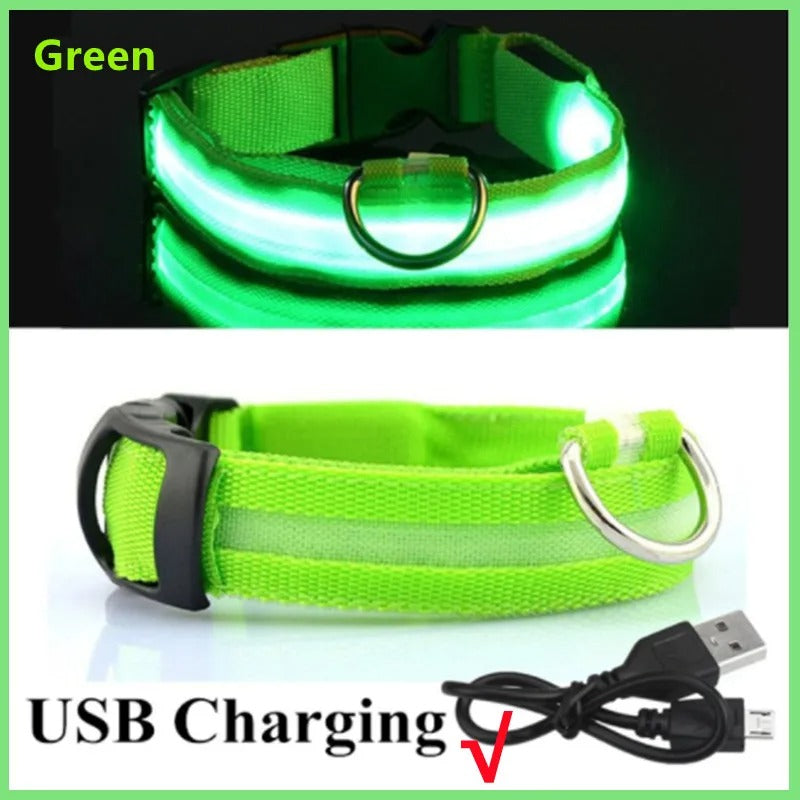 GlowDog™ – Lysende hundehalsbånd