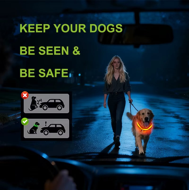 GlowDog™ – Lysende hundehalsbånd